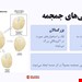  دانلود پاورپوینت پرستاری بررسی وضعیت سلامت سر و گردن بر اساس باربارابیتز | معاینه فیزیکی کامل