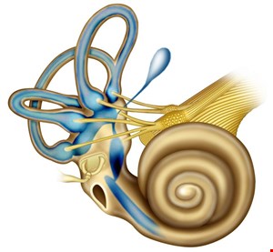 دانلود پاورپوینت پرستاری در مورد اختلالات گوش داخلی