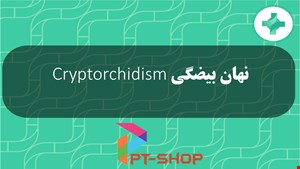 دانلود پاورپوینت تخصصی پرستاری در مورد نهان بیضگی Cryptorchidism 