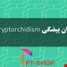  نهان بیضگی Cryptorchidism 